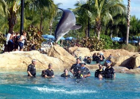 Ontmoeting met dolfijnen in Discovery Cove