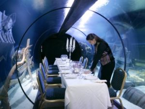 Dineren in Sharkbait Reef in Alton Towers