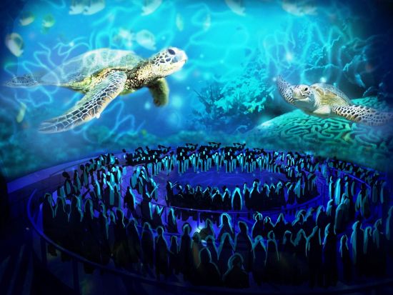 3D-filmtheater TurtleTrek in SeaWorld Florida