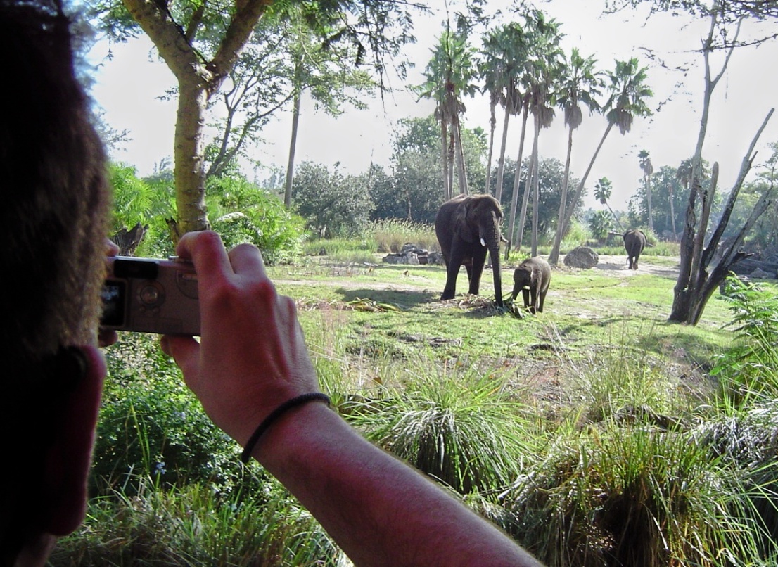 Kilimanjaro Safaris in Animal Kingdom in Walt Disney World – Foto: © Adri van Esch